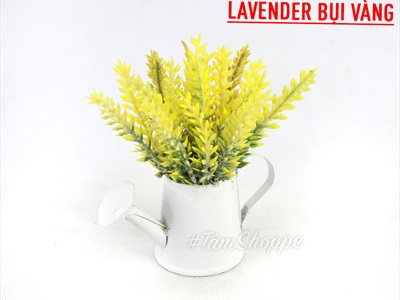 Chậu hoa mini để bàn bình tưới Lavender nhiều kiểu CHAUHOACS-02