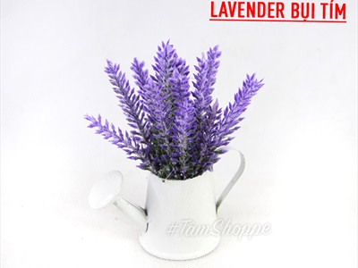 Chậu hoa mini để bàn bình tưới Lavender nhiều kiểu CHAUHOACS-02