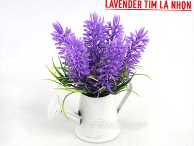 Chậu hoa mini để bàn bình tưới Lavender nhiều kiểu CHAUHOACS-02