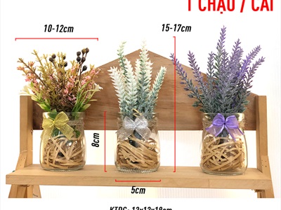 Chậu hoa mini để bàn hủ thuỷ tinh lót rơm nhiều kiểu BINHHOACS-01