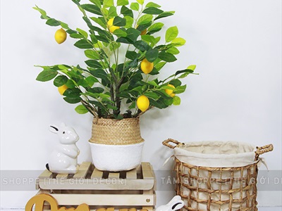 Chậu cây chanh vàng Mỹ giả cao 70-180cm CHAUCAYGIA-16