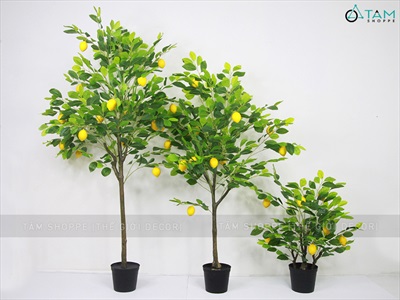Chậu cây chanh vàng Mỹ giả cao 70-180cm CHAUCAYGIA-16