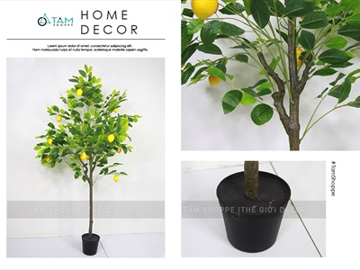 Chậu cây chanh vàng Mỹ giả cao 70-180cm CHAUCAYGIA-16