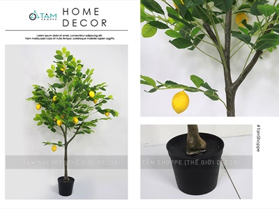 Chậu cây chanh vàng Mỹ giả cao 70-180cm CHAUCAYGIA-16