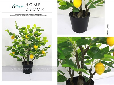 Chậu cây chanh vàng Mỹ giả cao 70-180cm CHAUCAYGIA-16