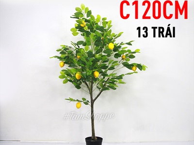 Chậu cây chanh vàng Mỹ giả cao 70-180cm CHAUCAYGIA-16