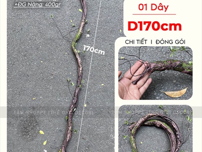 Dây hồng leo giả cổ điển kiểu Pháp [Nhiều màu - Dài 170cm] DAYHOA-01