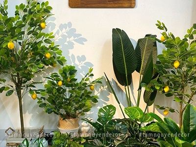 Bảng hiệu gỗ nâu đen Rustic bo góc chữ trắng [Nội dung - Kích thước theo yêu cầu] YC-BANGHIEU-01
