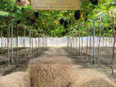 Bảng hiệu gỗ tự nhiên in màu UV [Nội dung - Kích thước theo yêu cầu] YC-BANGHIEU-03