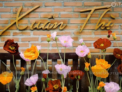 Bộ bảng hiệu gỗ, chữ gỗ, tranh gỗ decor quán cafe Xuân Thì [Nhận thi công] YC-CONCEPT-01