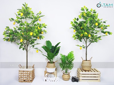 Sọt lục bình vuông đan thưa có vải lót 2 size SOT-LB-02