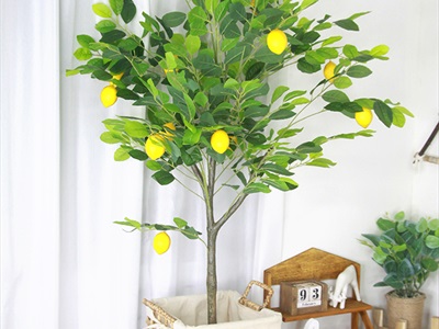 Sọt lục bình vuông đan thưa có vải lót 2 size SOT-LB-02