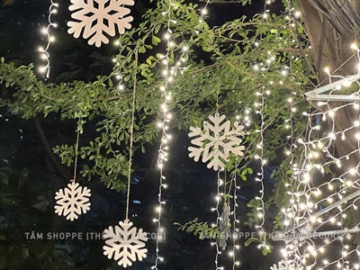 Bông tuyết trắng bằng gỗ trang trí [ĐK10/20/30cm - Có lỗ xỏ dây] BONGTUYET-02