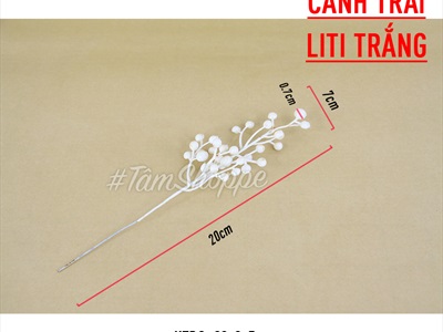 Cành trái trang trí handmade nhiều kiểu CANHTRAI-01