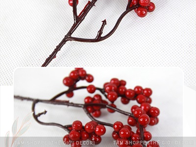 Cành trái trang trí handmade nhiều kiểu CANHTRAI-01