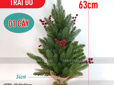 Cây thông Noel nhỏ để bàn lá xanh [Nhiều kiểu - Cao 38-60cm] X-TREE-04