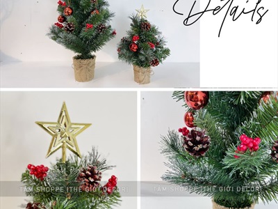 Cây thông Noel nhỏ để bàn lá xanh [Nhiều kiểu - Cao 38-60cm] X-TREE-04