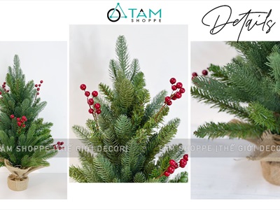 Cây thông Noel nhỏ để bàn lá xanh [Nhiều kiểu - Cao 38-60cm] X-TREE-04