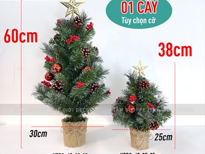 Cây thông Noel nhỏ để bàn lá xanh [Nhiều kiểu - Cao 38-60cm] X-TREE-04