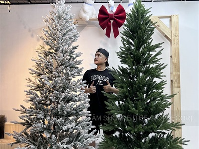 Cây thông Noel lá PE+PVC tán gọn [Cao 1m5-2m4] X-TREE-LP-KT