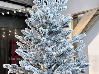Cây thông Noel lá PE+PVC tán gọn [Cao 1m5-2m4] X-TREE-LP-KT