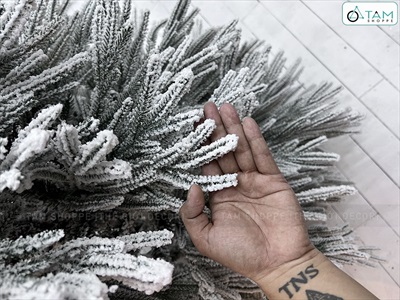 Cây thông Noel lá rũ phủ tuyết lá PE + PVC [Cao 1m5-2m4] X-TREE-LP-WL-HS