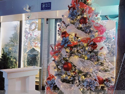 Cây thông Noel phủ tuyết A4 [Cao 1m5-4m5] X-TREE-17