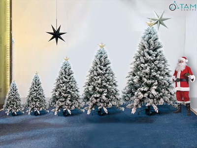 Cây thông Noel phủ tuyết A4 [Cao 1m5-4m5] X-TREE-17