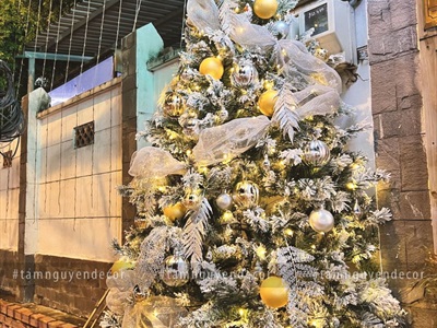 Cây thông Noel phủ tuyết A4 [Cao 1m5-4m5] X-TREE-17