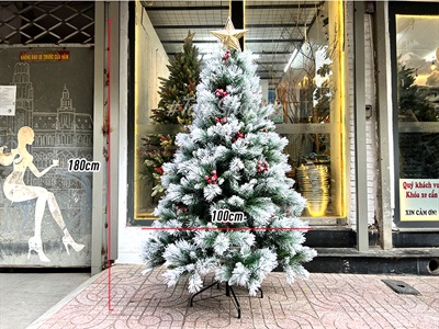 [Hàng ORDER] Cây thông Noel phủ tuyết cước 2 loại lá gắn trái đỏ cao 180cm X-TREE-40