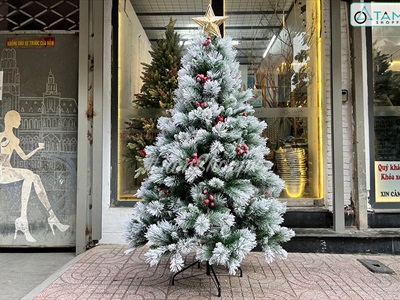[Hàng ORDER] Cây thông Noel phủ tuyết cước 2 loại lá gắn trái đỏ cao 180cm X-TREE-40