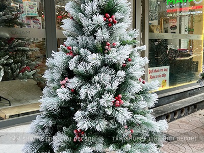 [Hàng ORDER] Cây thông Noel phủ tuyết cước 2 loại lá gắn trái đỏ cao 180cm X-TREE-40