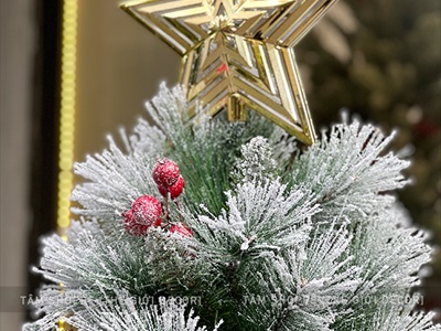 [Hàng ORDER] Cây thông Noel phủ tuyết cước 2 loại lá gắn trái đỏ cao 180cm X-TREE-40