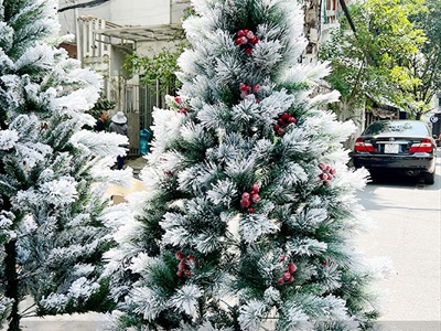 [Hàng ORDER] Cây thông Noel phủ tuyết cước 2 loại lá gắn trái đỏ cao 180cm X-TREE-40