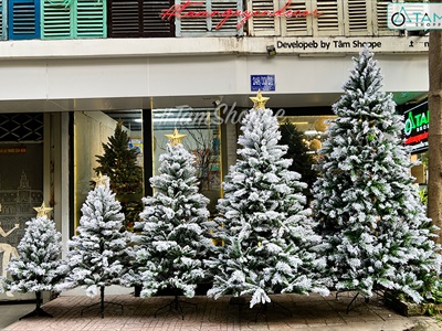 Cây thông Noel phủ tuyết A4 [Cao 1m5-4m5] X-TREE-17
