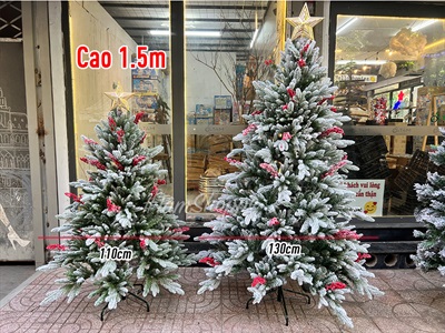 Cây thông Noel phủ tuyết lá PE gắn chùm đỏ liti cao từ 150-200cm X-TREE-39