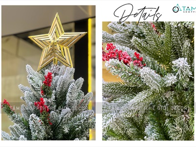 Cây thông Noel phủ tuyết lá PE gắn chùm đỏ liti cao từ 150-200cm X-TREE-39