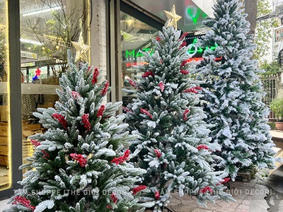Cây thông Noel phủ tuyết lá PE gắn chùm đỏ liti cao từ 150-200cm X-TREE-39