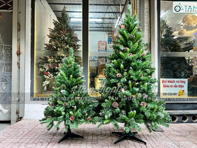 Cây thông Noel xanh 3 loại lá gắn trái thông [Cao 1m2-4m5] X-TREE-15