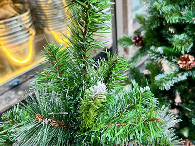 Cây thông Noel xanh 3 loại lá gắn trái thông [Cao 1m2-4m5] X-TREE-15