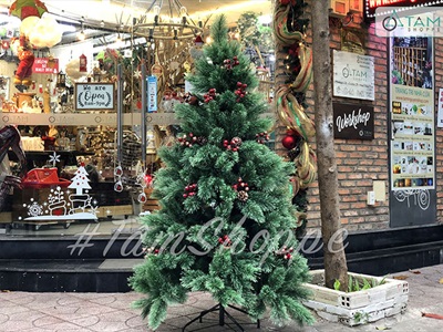 [Hàng ORDER] Cây thông Noel xanh cước đầu xòe gắn trái đỏ cao từ 180-240cm X-TREE-18