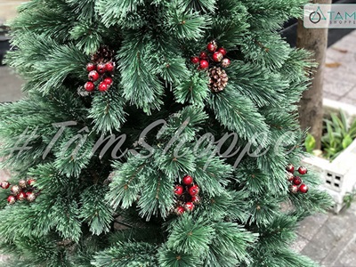[Hàng ORDER] Cây thông Noel xanh cước đầu xòe gắn trái đỏ cao từ 180-240cm X-TREE-18