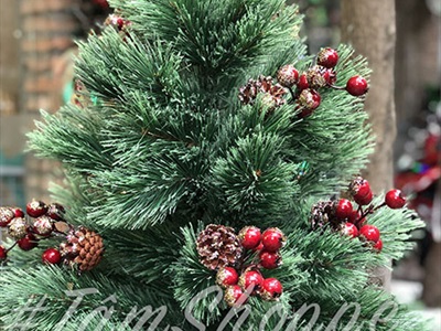 [Hàng ORDER] Cây thông Noel xanh cước đầu xòe gắn trái đỏ cao từ 180-240cm X-TREE-18