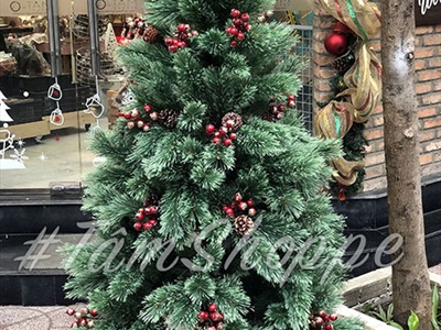 [Hàng ORDER] Cây thông Noel xanh cước đầu xòe gắn trái đỏ cao từ 180-240cm X-TREE-18