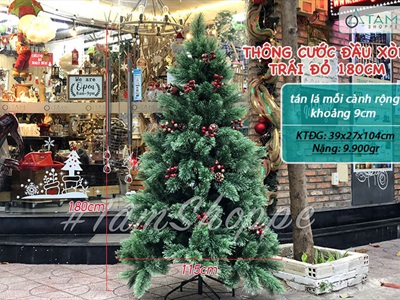 [Hàng ORDER] Cây thông Noel xanh cước đầu xòe gắn trái đỏ cao từ 180-240cm X-TREE-18