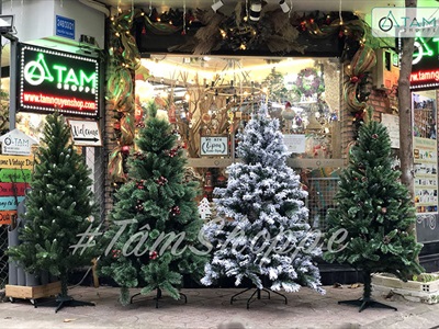[Hàng ORDER] Cây thông Noel xanh cước đầu xòe gắn trái đỏ cao từ 180-240cm X-TREE-18