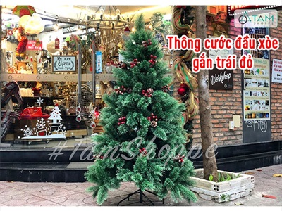 [Hàng ORDER] Cây thông Noel xanh cước đầu xòe gắn trái đỏ cao từ 180-240cm X-TREE-18