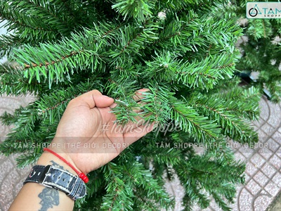 Cây thông Noel xanh trơn 1 loại lá đầu tròn [Cao 1m5-4m5] X-TREE-14