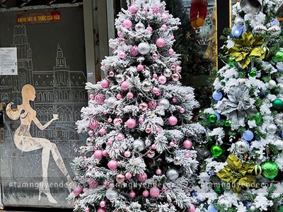 Hộp vali 100 trái châu Noel 4 kiểu nhiều cỡ Đk3-4-6cm TRAICHAU-20