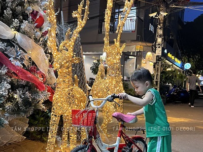 [Hàng ORDER] Mô hình tuần lộc thép quấn đèn Led dây bố kim tuyến vàng Gold cỡ lớn [Dáng đẹp - tỉ mỉ] TCV-TLOC-05